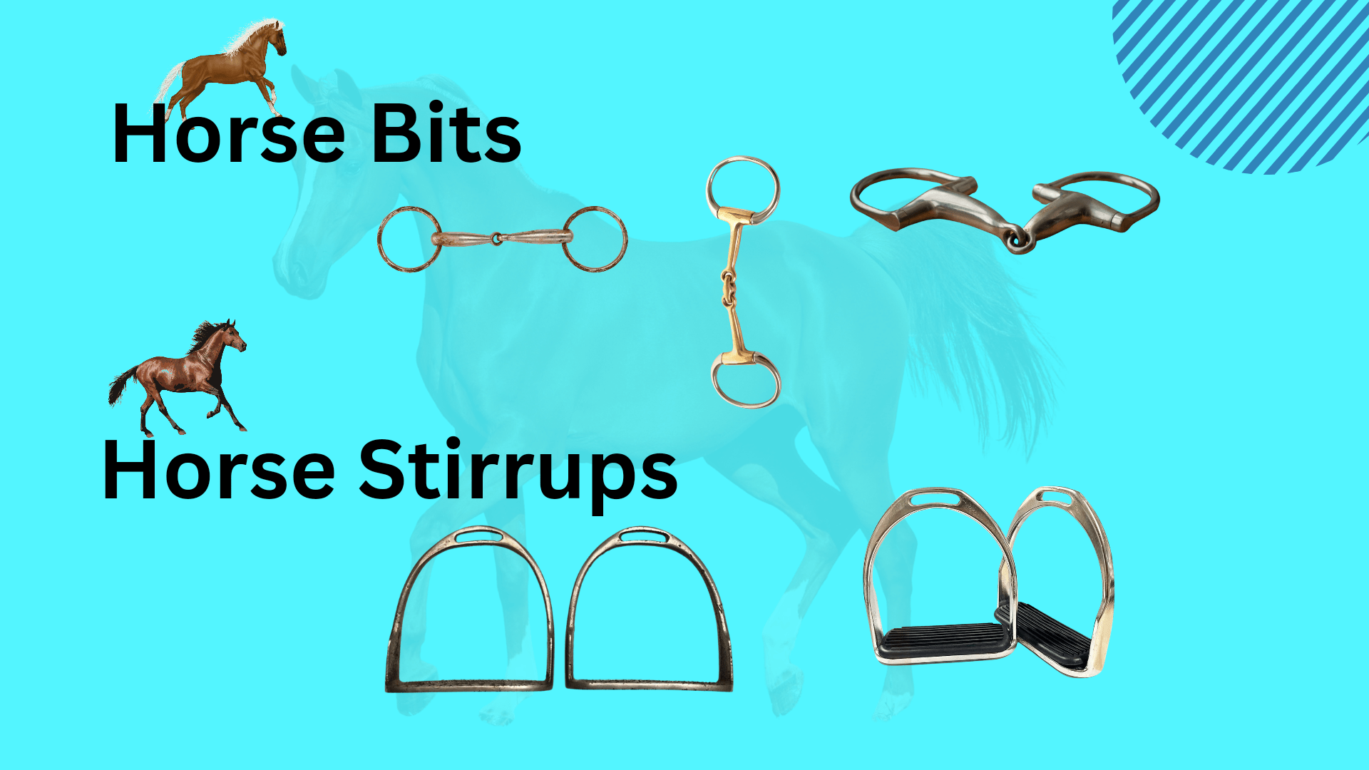 Horse Bits (1920 x 1080 px)_20240725_061525_0000